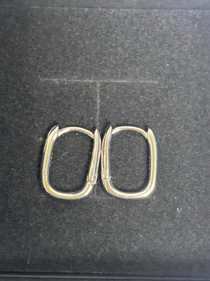 Silver Oval(s) Earrings