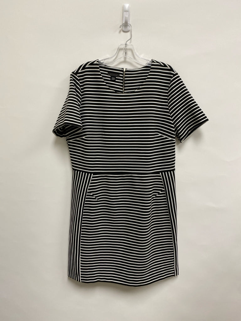 Size XL Black White Striped Ladies Dress