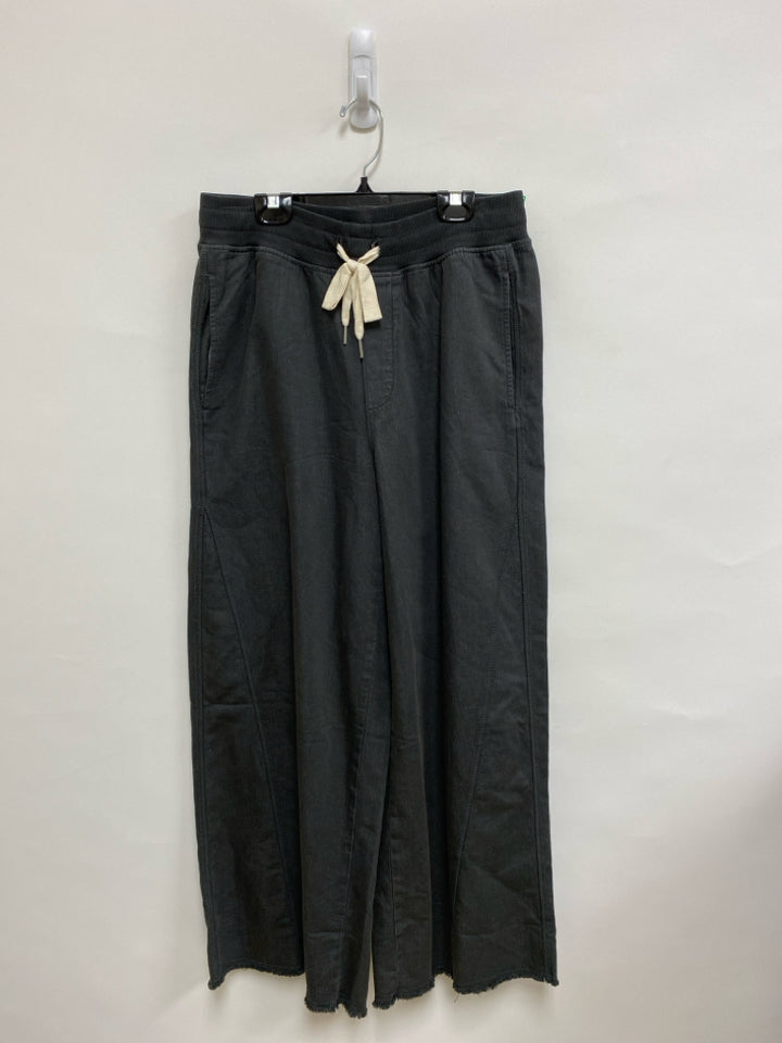 Aerie Size M Charcoal Wide Leg Ladies Pants