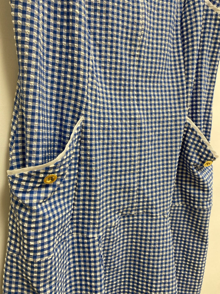 LILLY PULITZER Size 12 Blue/White Checkered Sleeveless Seersucker Ladies Dress