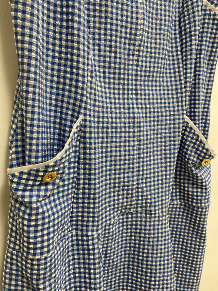 LILLY PULITZER Size 12 Blue/White Checkered Sleeveless Seersucker Ladies Dress