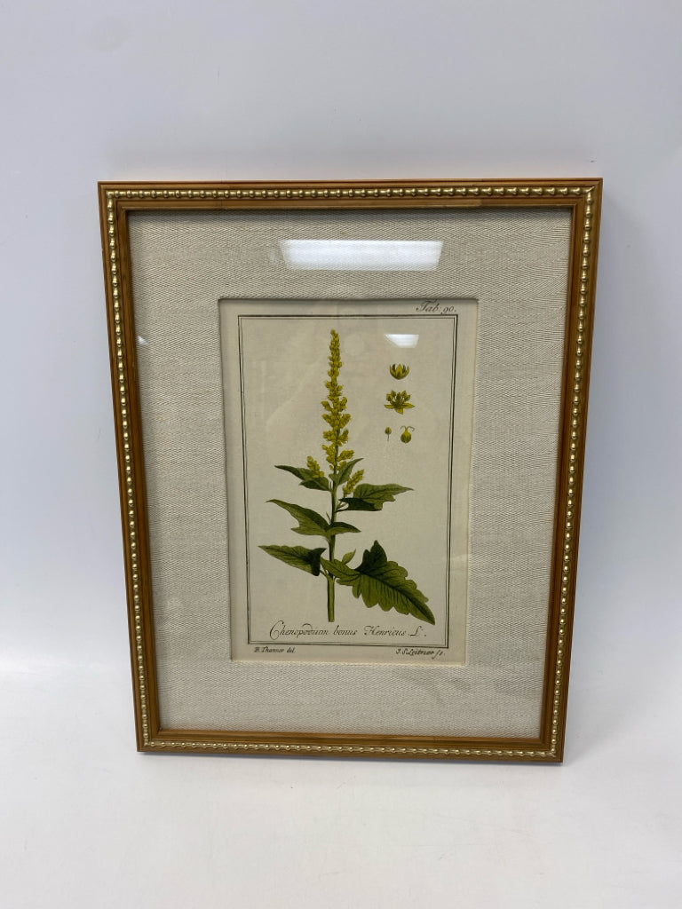 Uttermost Green/Cream Assorted Print Framed Art