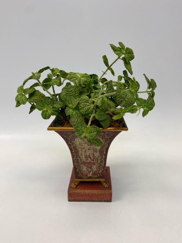 Green Red/Gold Metal Silk Plant