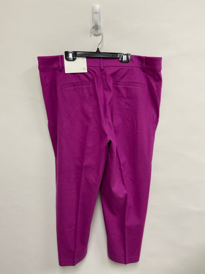 NWT LOFT  SIZE  16P Violet Plus Size Pants