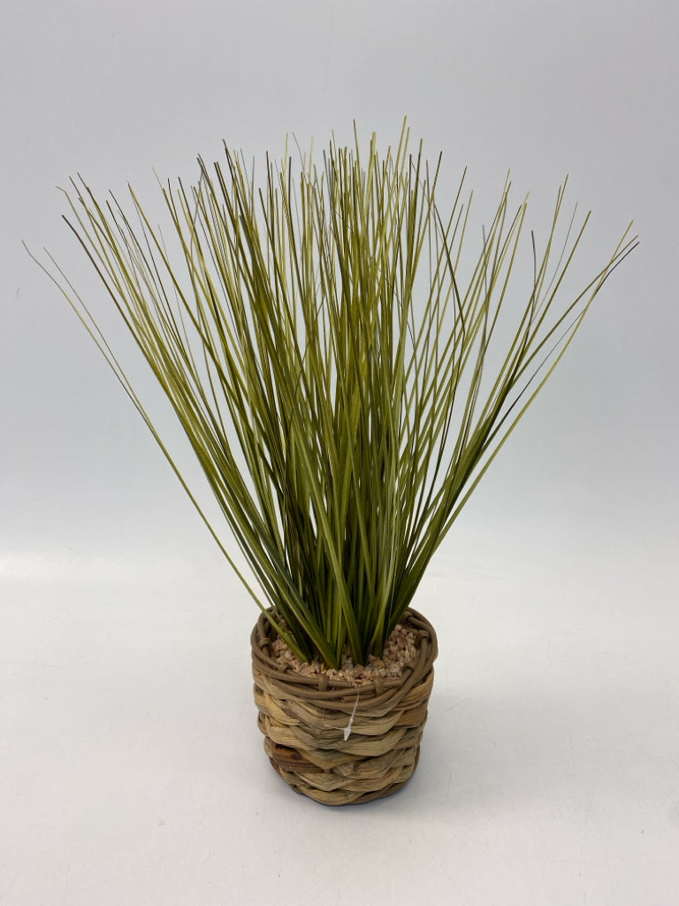 Green Brown Silk Plant