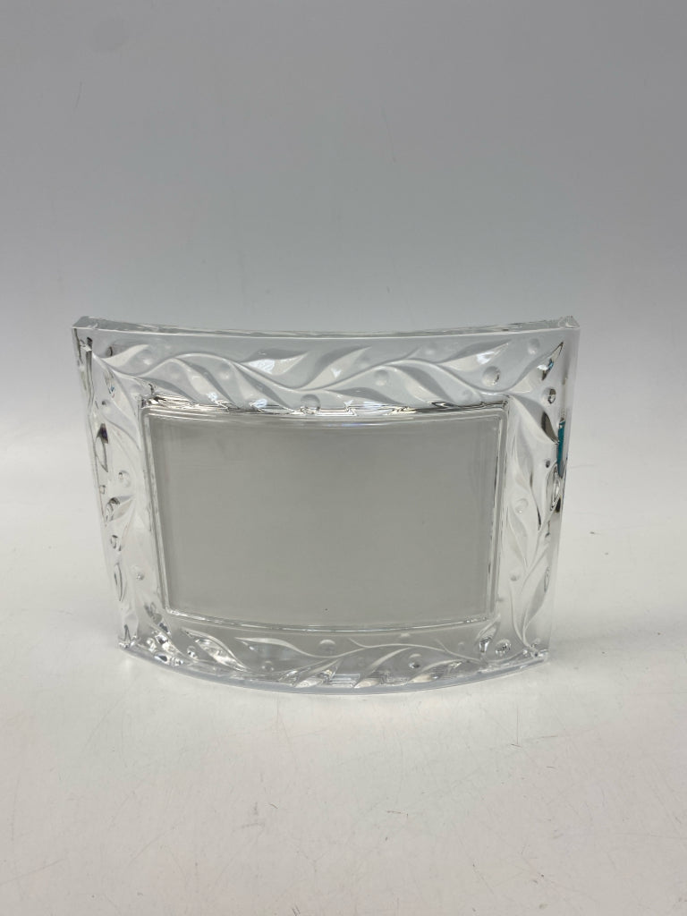 Clear Vine Glass Frame