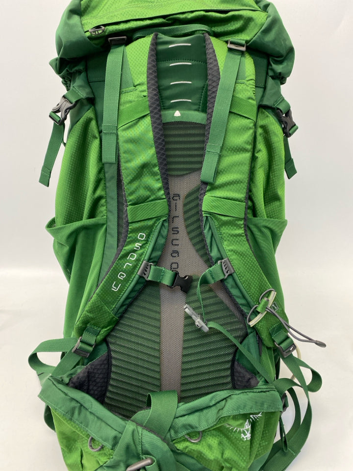 Osprey Daytime Hiking Green Backpack