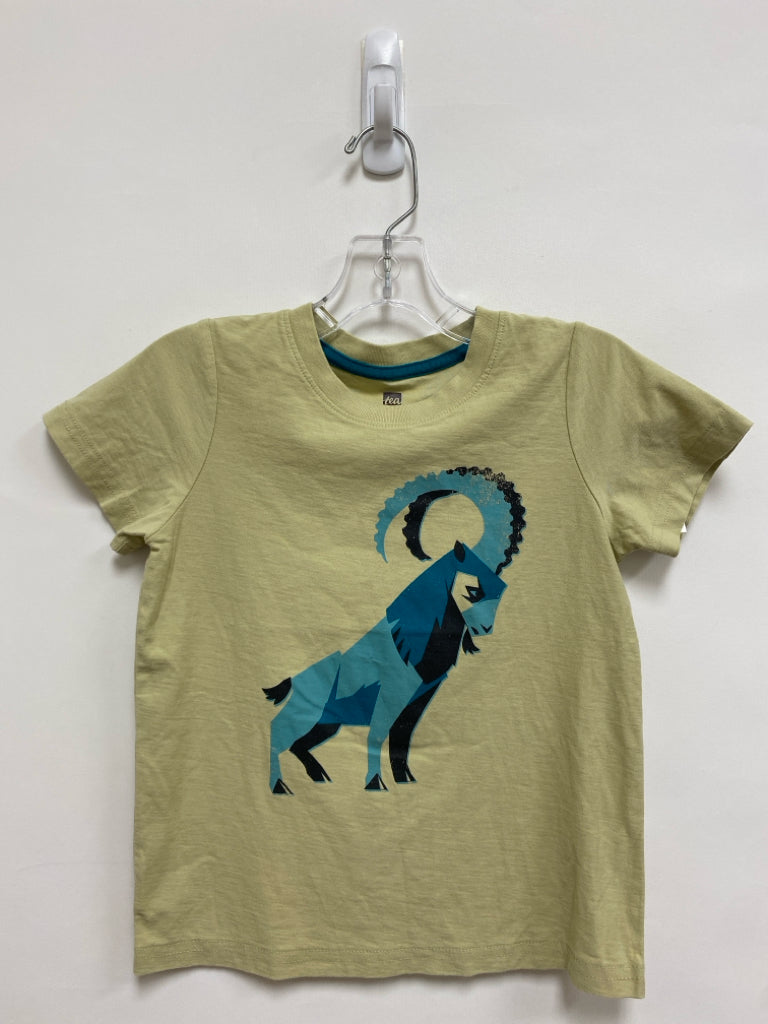 Tea SIZE 6 Beige Turquoise Boy&