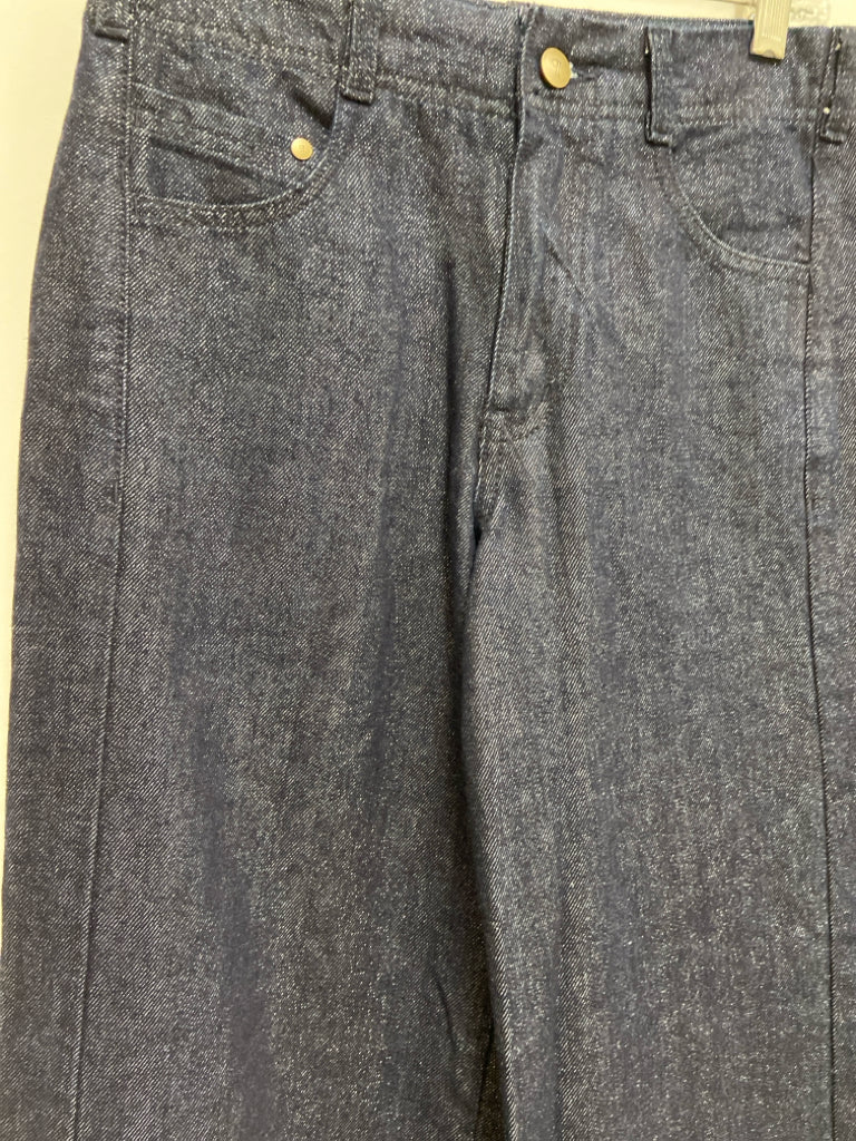 Pilcro Size 25 Dark Blue Denim Shimmery Ladies Jeans