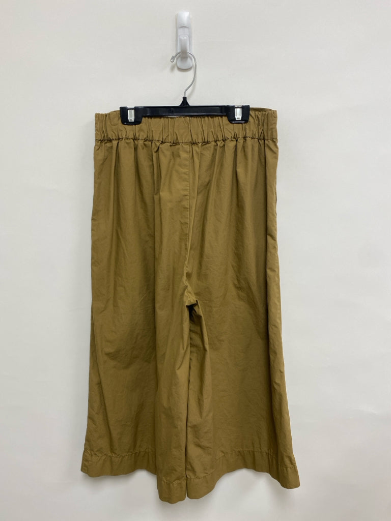 Madewell Size M Brown Ladies Pants