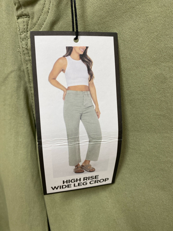 NWT BCBG Size 3 Sage Wide Leg Ladies Pants