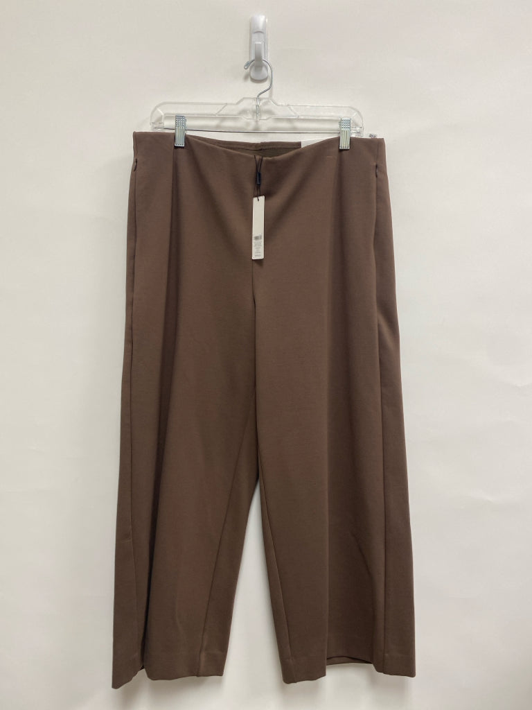 NWT Chico&