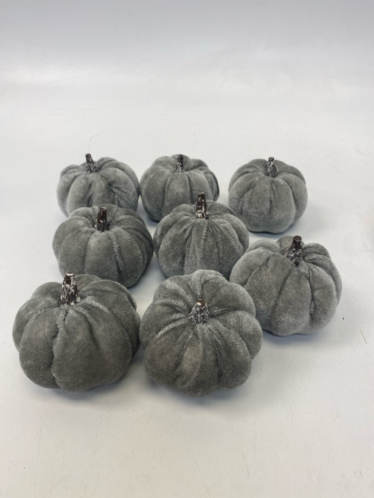 Gray Velvet Fall