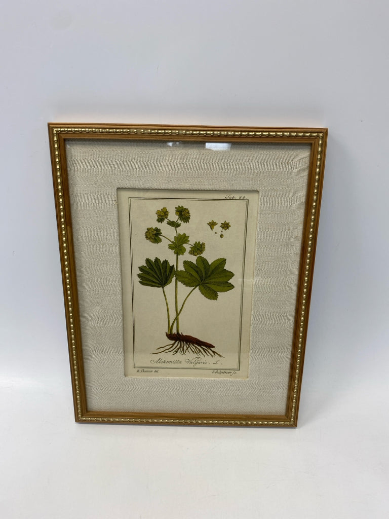Uttermost Green/Cream Assorted Print Framed Art