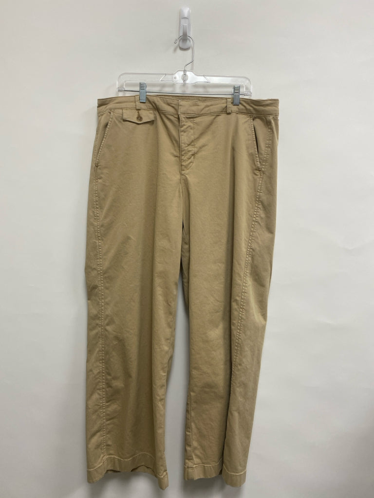 American Eagle  SIZE  16 Khaki Plus Size Pants
